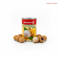 Red Dragon Longan in Syrup 565g