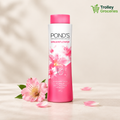 Pond's Dreamflower Talcum Powder 250g bottle with floral styling and Trolley Groceries branding